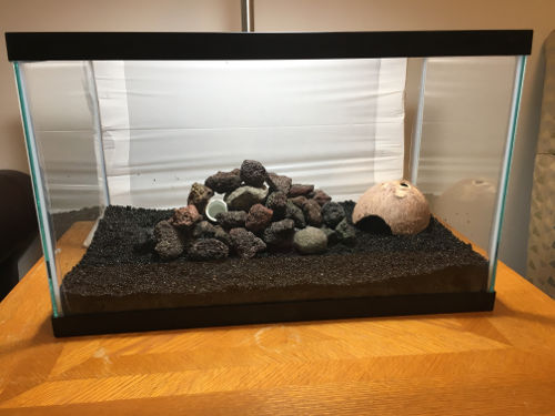 10 gallon lava rocks