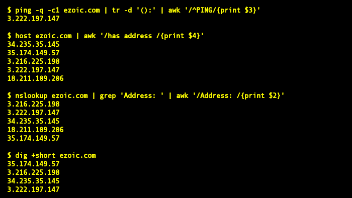 How to convert hostnames to IP addresses