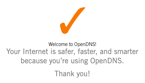 OpenDNS check