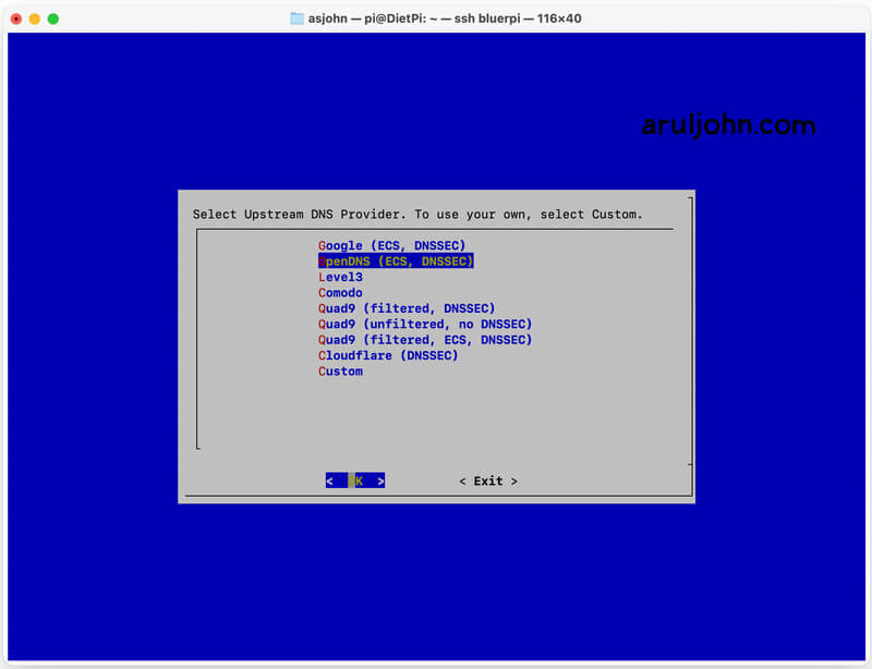 diet pi upstream dns provider