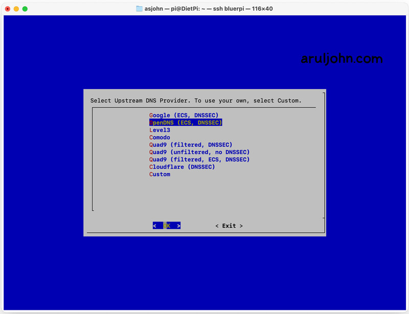 diet pi upstream dns provider
