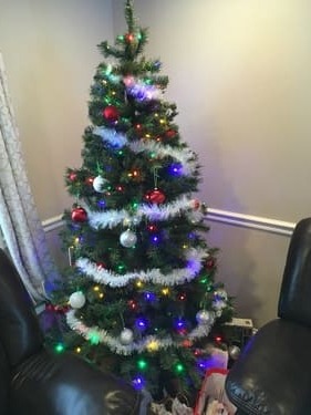 https://aruljohn.com/blog/pix/wyze_christmas_tree.jpg